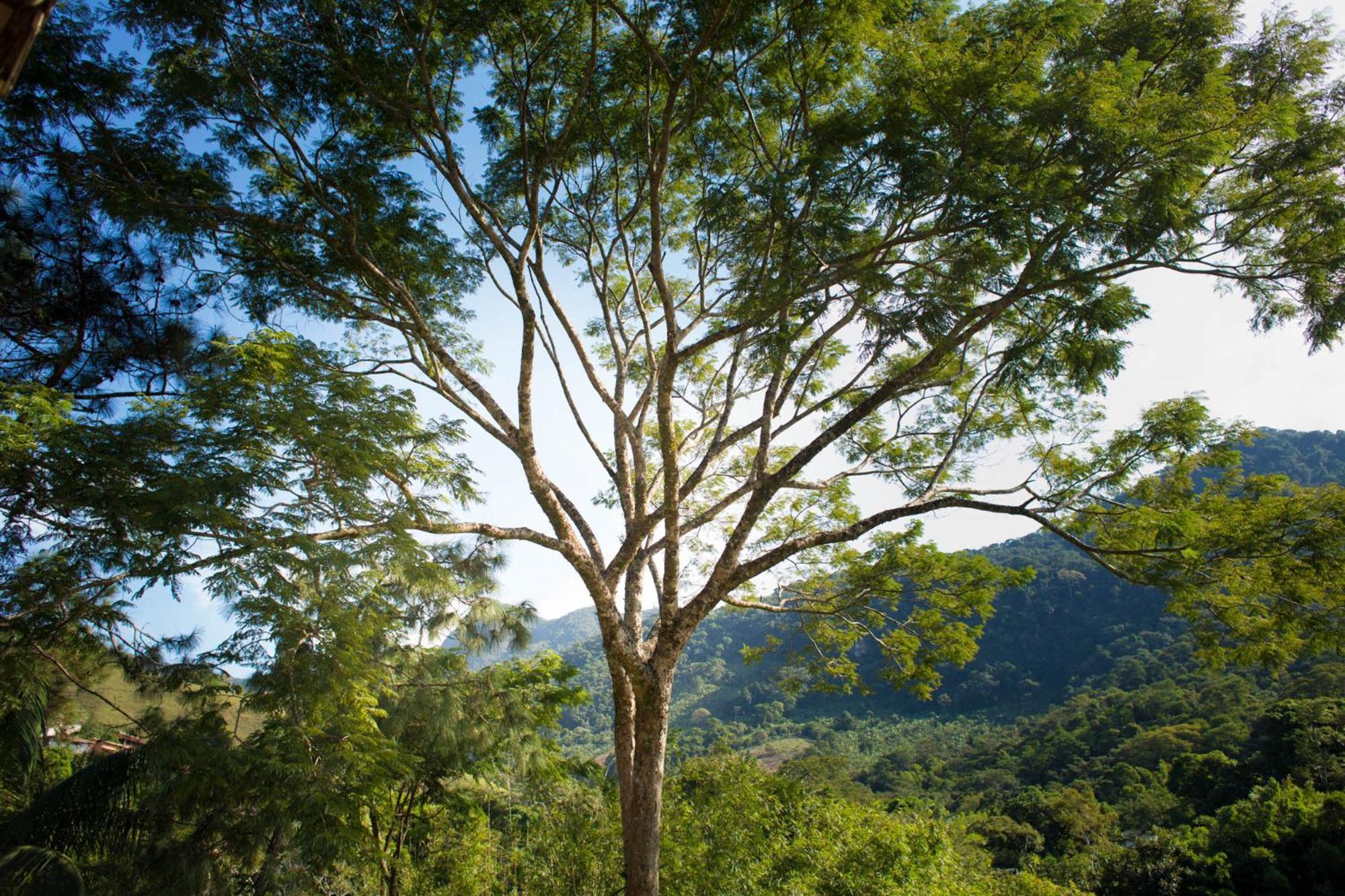 Pousada Cascata Casimiro de Abreu Zimmer foto